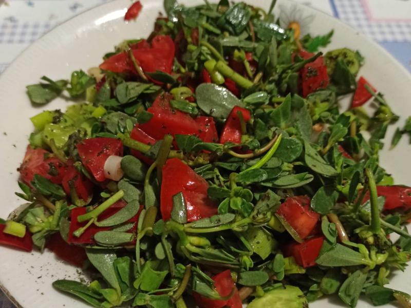 Hettüş Salatası